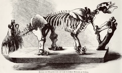 Megatherium Skelett på British Museum