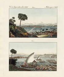 Mexico-City med sina miljöer och simträdgårdar (färgad gravyr)