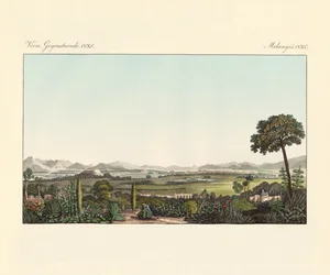 Mexiko (färgad gravyr)