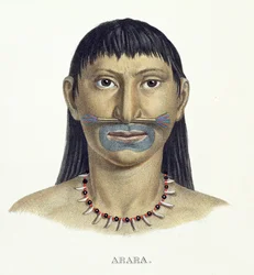 Infödd man av Arara-stammen med blå ansiktsfärg, från Atlas of a Journey in Brazil av Johann Baptist von Spix (1781-1826) och Karl Friedrich Philipp Martius (1794-1868), publicerad ca 1835-50 (färg
