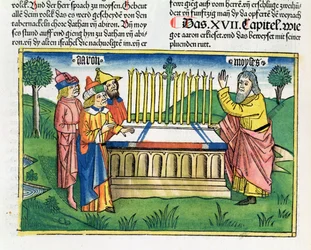 Nummer 17 1-11 Aarons stav blommar på altaret, från Nürnbergbibeln (Biblia Sacra Germanaica) (färgat träsnitt)