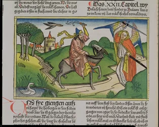 Nummer 22 20-35 Bileams talande åsna, från Nürnbergbibeln (Biblia Sacra Germanaica) (färgat träsnitt)
