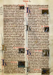 Sida från De Natura Rerum om fåglar, av Albertus Magnus (cirka 1200-1280)