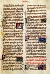 Sida från De Natura Rerum om fåglar, av Albertus Magnus (cirka 1200-1280)