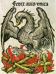 Phoenix publicerad i Nuremberg Chronicle, 1493