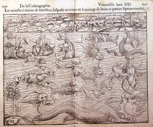 Plåt som representerar alla typer av marina och terrestra monster som finns i nordliga regioner: Xilografi hämtad från Sebastien Munsters Universal Cosmography. Bal