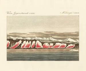 Rödfärgad snö (färgad gravyr)