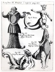 Havsmonster, illustration från Physica Curiosa av Gaspar Schott S.J. (1608-66), publicerad Würzburg 1662