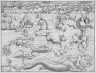 "Sea of Darkness" från Sebastien Münsters "Cosmographie Universalis"