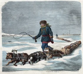 Slädehund i snön i Amerika. I "" Wenn Jemand eine Reise tut, so kann er was erhalten"" (När någon reser, detta är vad han kan berätta), tysk saga av Franz Wiedemann