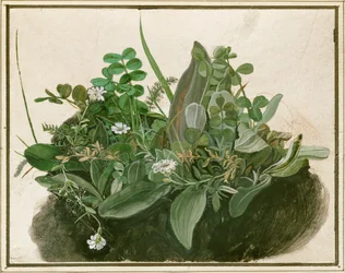 Liten grästuva (akvarell, tempera och pensel på pergament monterad på kartong)