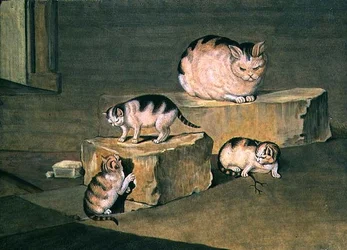 Studie av katter