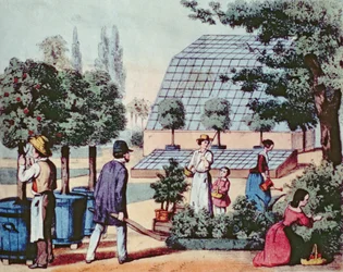 Tending the Garden, c.1860 (färggravyr)