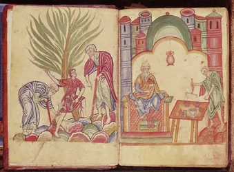 Apotekarens konst, från Apuleius Dioscorides