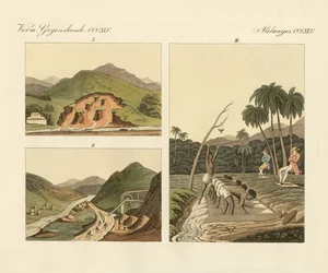 Ädelstensgruvorna i Brasilien (färgad gravyr)
