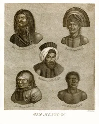 Människan (färgad gravyr)