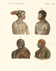 Invånarna i Australien (färgad gravyr)