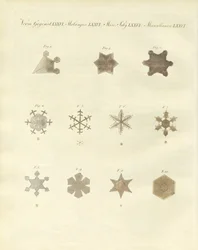 Snön med dess kristallisationer (färgad gravyr)