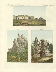 Utsikt över Harz (färgad gravyr)