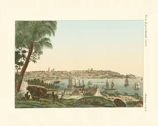 Utsikt över staden Sydney (färgad gravyr)