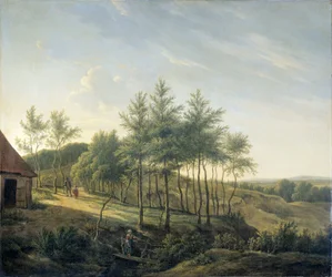 Kuperat landskap