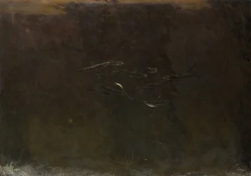 Fisk i ett akvarium