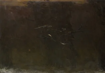 Fiskar i ett akvarium