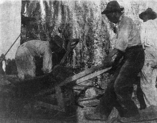 Tre arbetare. Fotografi som visar tre afroamerikanska arbetare på jobbet. (ca 1900) Av Gertrude Kasebier