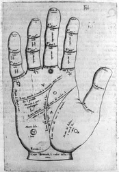 Chiromanti och spådomsförutsägelse: representation av de olika linjerna i handen som tillåter tolkningen av personligheten. Gravyr från "" De magia"" av Giambattista della Porta (1537? -1615) 1589