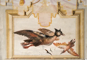 Ett par exotiska fåglar, från det kinesiska rummet i Foresteria, 1757