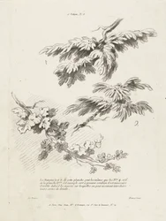 Studie av tre grenar med löv 1er Cahier de paysage (serietitel)