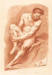 Akademi