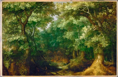 Skogsbeklätt landskap