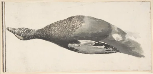 Död anka, 1685-1755.