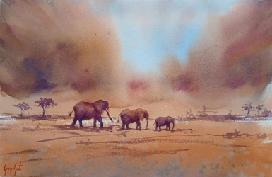 Afrikansk elefants resa