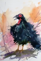 Ropande svart fågel