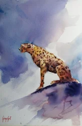 Gepard på en klippa