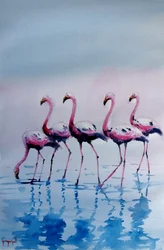 Rosa flamingor som vadar