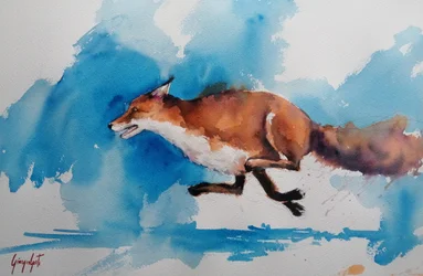 Swift Fox Sprint