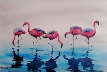 Vadande rosa flamingor