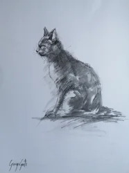 Den vaksamma kolgrå katten
