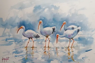 Reflektioner av vit ibis
