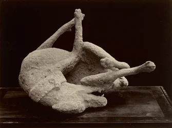 Hund, Pompeji, cirka 1870
