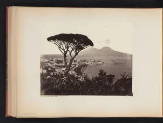 Vy över Neapel, Italien, med en tall i förgrunden Panoramadalen Vomero Napoli (titel på objektet)