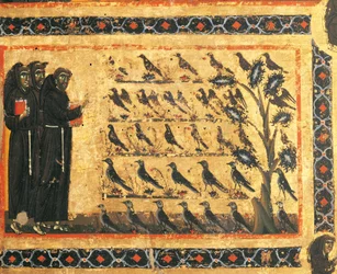Berättelser om Sankt Franciskus: Sankt Franciskus predikar för fåglarna, fresk av Giotto (1267-1337), cirka 1325. Bardi-kapellet i Vernio, basilikan Santa Croce, Florens, Italien