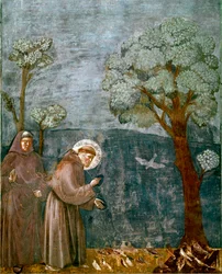 Avsnitt av Saint Francois av Assisis liv (San Francesco): "" Fåglarnas förutsägelse""" Fresk av Giotto (Ambrogio di Bondone)