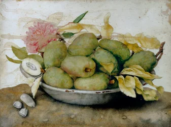 Tallrik med loquats, mandel och en ros
