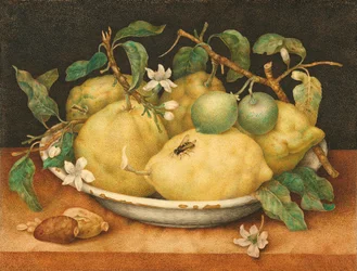 Stilleben med skål med citroner