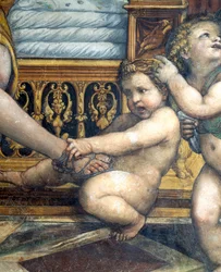 Sala delle Nozze di Alessandro e Rossana Hall av Alexander den stores bröllop 356-323 f.Kr. och Roxanne detalj av putto som drar Roxannes fot, ca 1513 freskdetalj av 107228