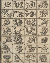 Exempel på recammi, sidan 10 verso, 1530.